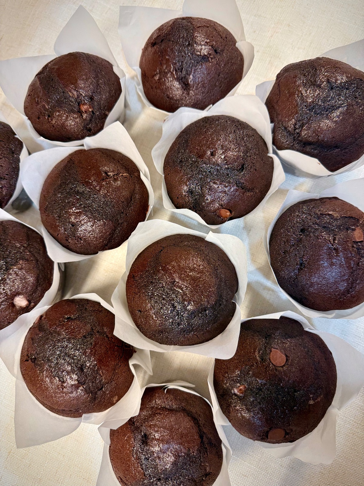 Sourdough Chocolate Muffins