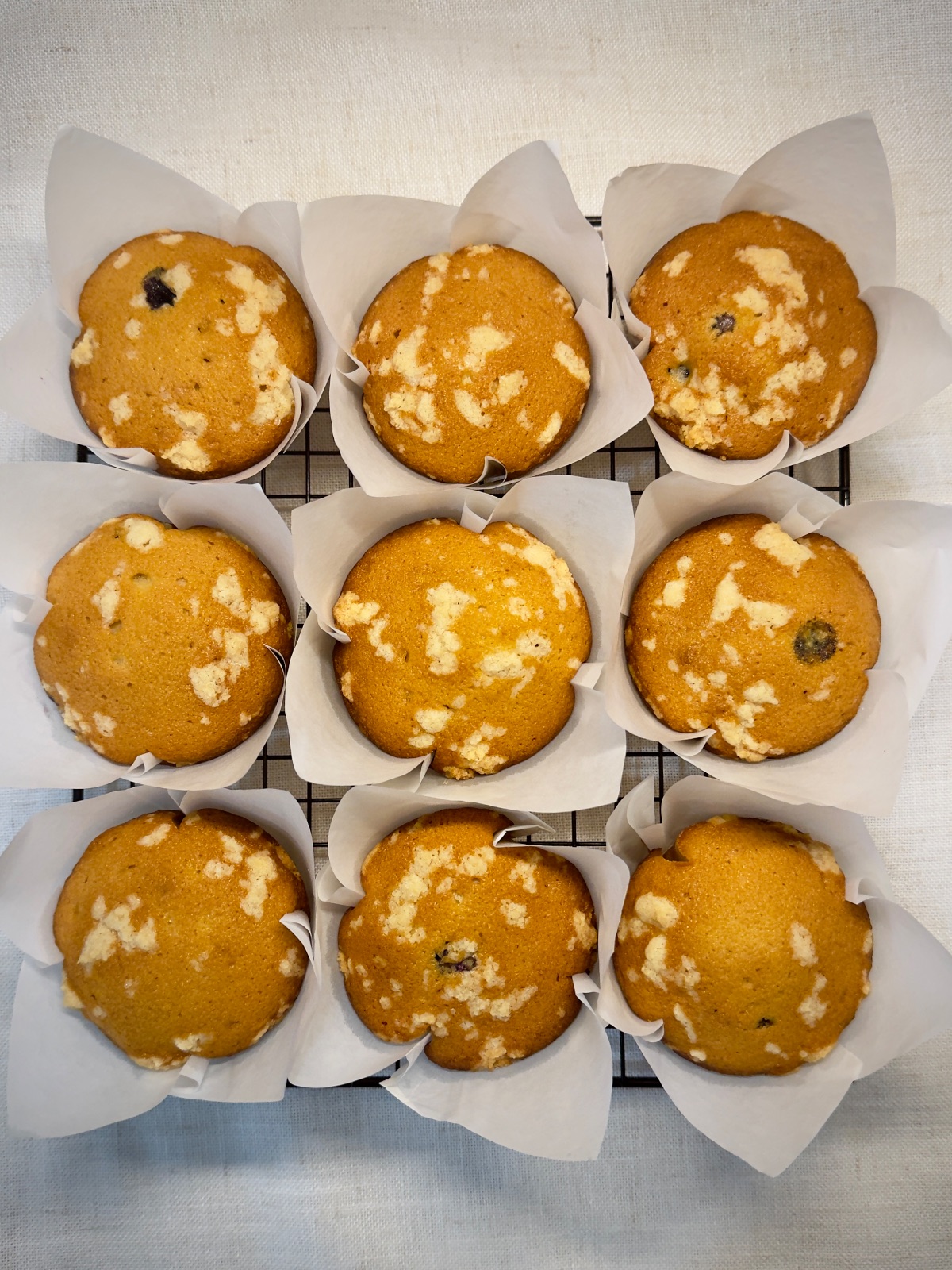 Sourdough Blueberry Muffins 