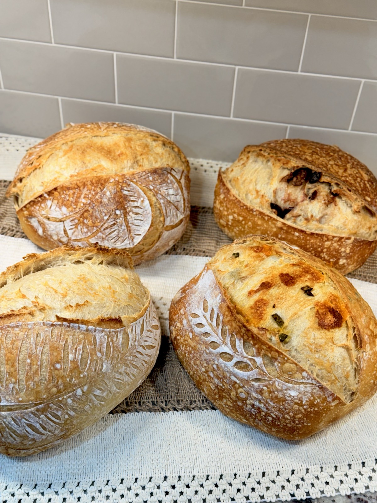 Four different sourdough loaves lined up on linen showing variety and consistency
